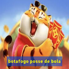 botafogo posse de bola